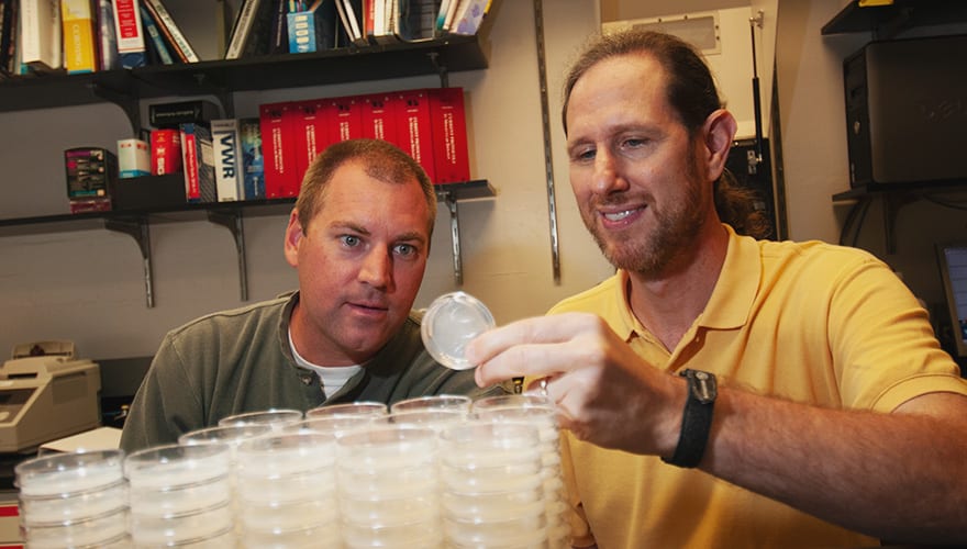 Dr. Kornfeld in research lab