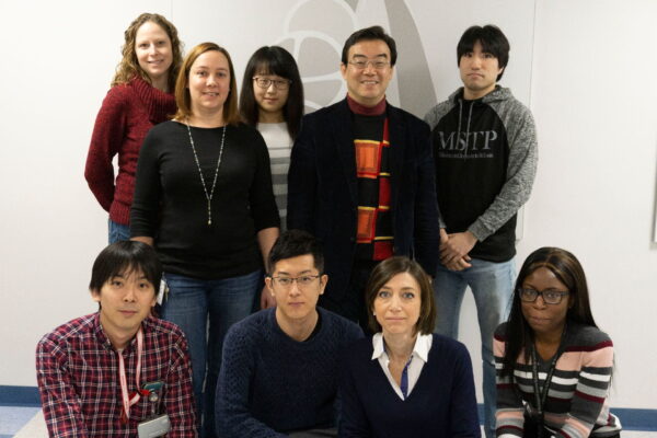 Shin Imai’s New Publication