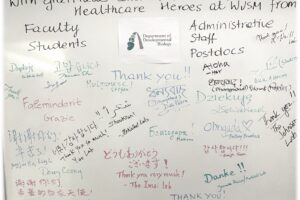 The Department of Developmental Biology express appreciation and support for our healthcare colleagues